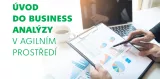 analyza_business_174217.png
