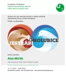přednáška Jestřábi a holubice
