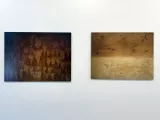 12116304.jpg