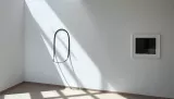 4116301.jpg